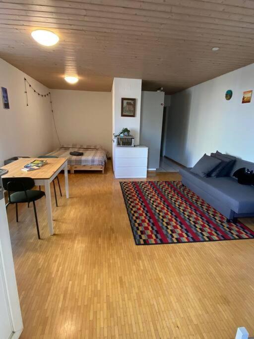 Urban Retreat - Cozy Studio With Private Patio Διαμέρισμα Ζυρίχη Εξωτερικό φωτογραφία