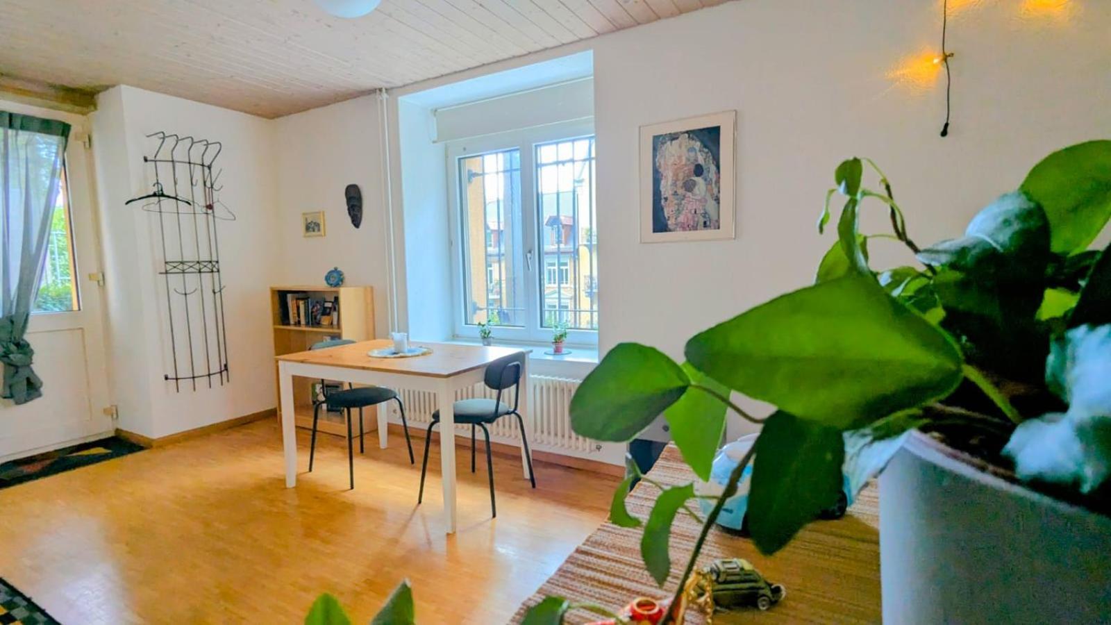 Urban Retreat - Cozy Studio With Private Patio Διαμέρισμα Ζυρίχη Εξωτερικό φωτογραφία