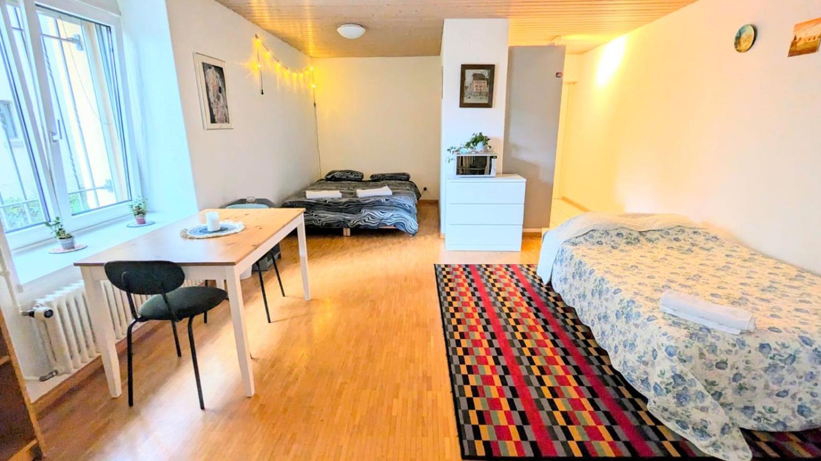 Urban Retreat - Cozy Studio With Private Patio Διαμέρισμα Ζυρίχη Εξωτερικό φωτογραφία